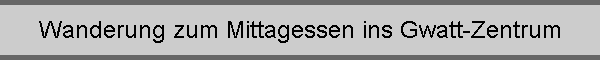 Wanderung zum Mittagessen ins Gwatt-Zentrum