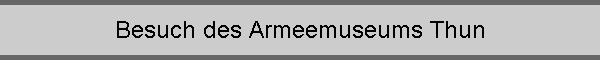 Besuch des Armeemuseums Thun
